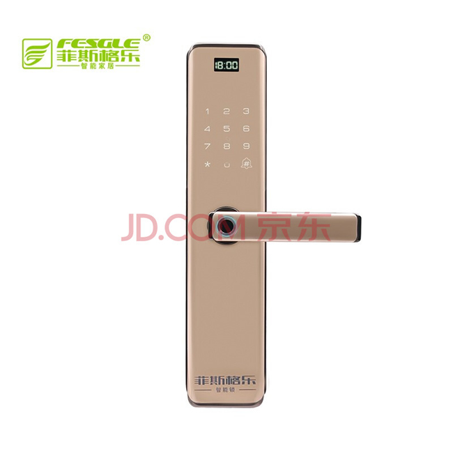 菲斯格樂智能鎖 6853家用防盜門智能門鎖密碼鎖