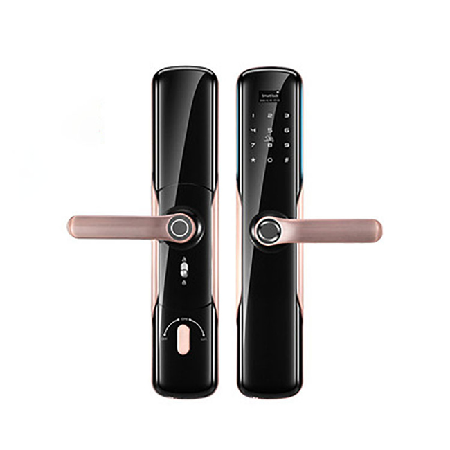 卡內締智能鎖  R15家用防盜門智能鎖