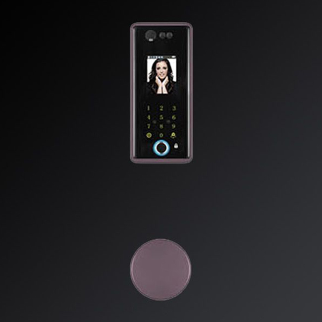 嘉仕邦人臉智能鎖X5半導(dǎo)體指紋頭識(shí)別