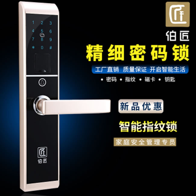 伯匠BJ-202智能鎖 防盜門密碼鎖家用電子鎖