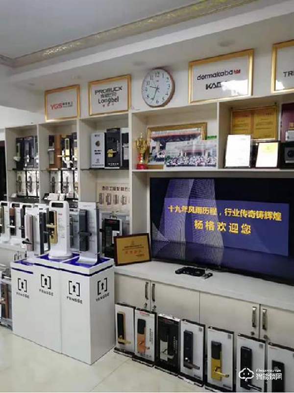 楊格智能鎖海南大區(qū)周志林：跟對人 走對路 做對事！