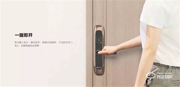 新品：螢石DL20S一握開聯網版指紋鎖
