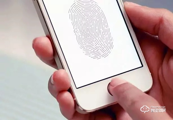 單看指紋識別技術，典匠D5智能門鎖為何如此出色？