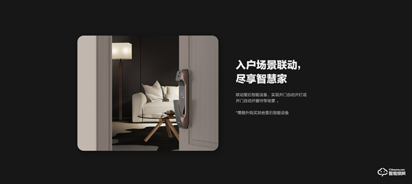 螢石視頻鎖DL30VS，視頻守衛 安全加倍