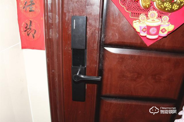 大氣精致+安全可靠+功能豐富+操作便捷=德施曼T91P智能鎖