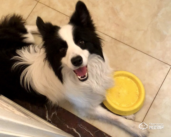 你家大門真的安全么？惠氏X68一握開智能鎖真實使用測評