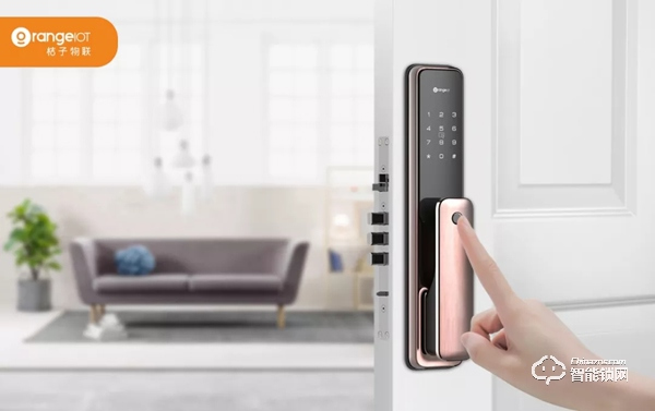 實力顏值雙開花！桔子物聯智能鎖斬獲“葵花獎”兩項大獎！