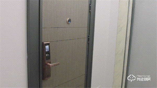 云棲大會(huì)intel展示的未來(lái)之門(mén)，只是王力智能家居的一小步