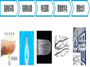 什么是指靜脈識(shí)別技術(shù)？