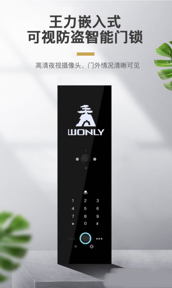 王力智能門鎖多渠道聚力爆發，銷量領跑行業