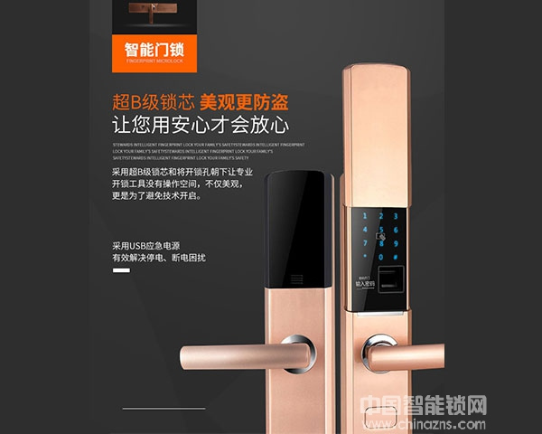 德之瑪指紋鎖價格參數(shù)怎么樣