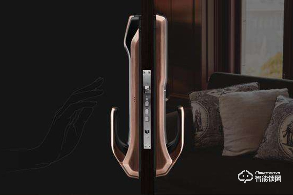 智能鎖功能不斷擴(kuò)展 遠(yuǎn)程訪問(wèn)仍然是主要優(yōu)勢(shì)