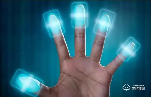 指紋識別技術的主要種類有哪些？