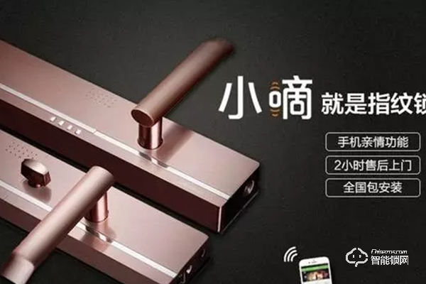 德施曼是哪國品牌