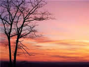 云米智能家居:專注于智能家電研發、制造