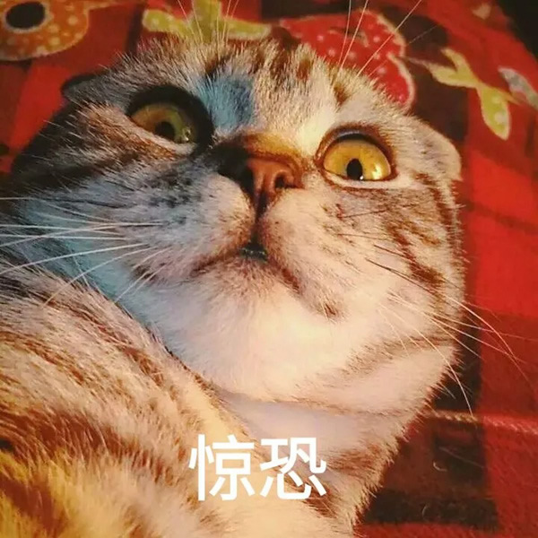 BSPH智能家居：學會這一招怎么睡都香！