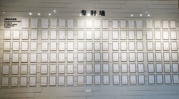 BSPH智能家居以最可貴的品質伴您同行 為您保駕護航