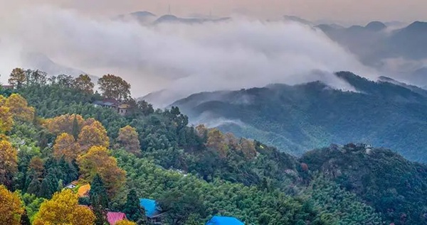 河?xùn)|智能家居：VISAYA意境酒店，當(dāng)桃花源遇見了智能控制