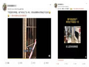 飛利浦智能鎖：寵物獨(dú)自開(kāi)門存在的安全隱患