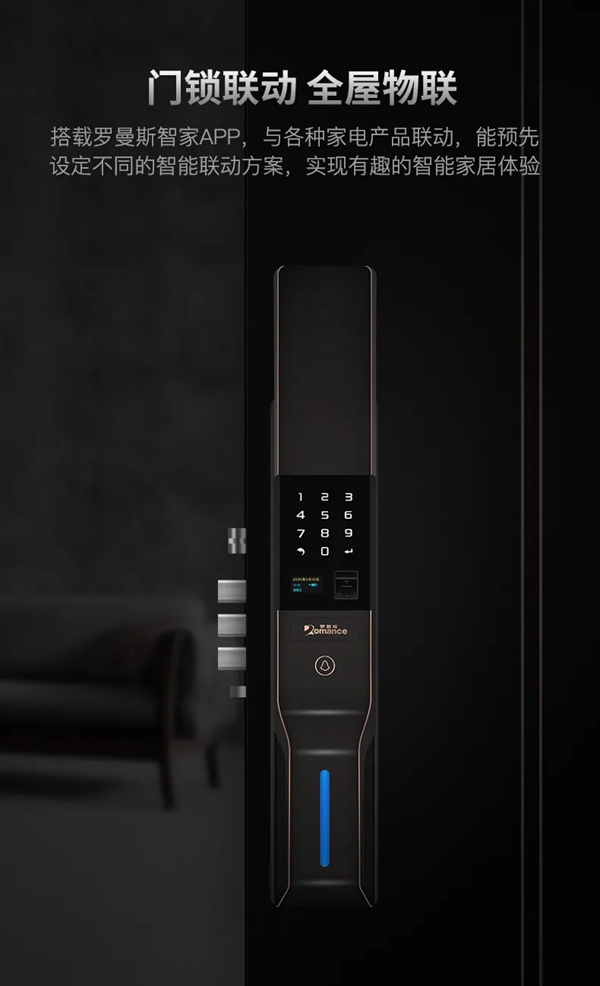 經典再現 | 一圖了解羅曼斯DD3 Pro