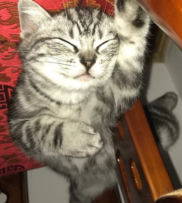 德施曼“疫”線故事——智能讓防疫生活更便捷！