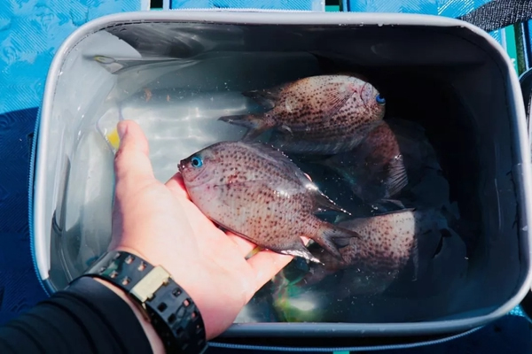 ThinkHome菲律賓長(zhǎng)灘島特訓(xùn)營(yíng)活動(dòng)圓滿結(jié)束