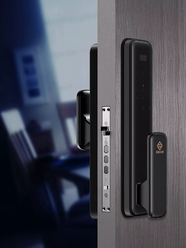 青松沃德：我們的2019年末崩潰情況報告