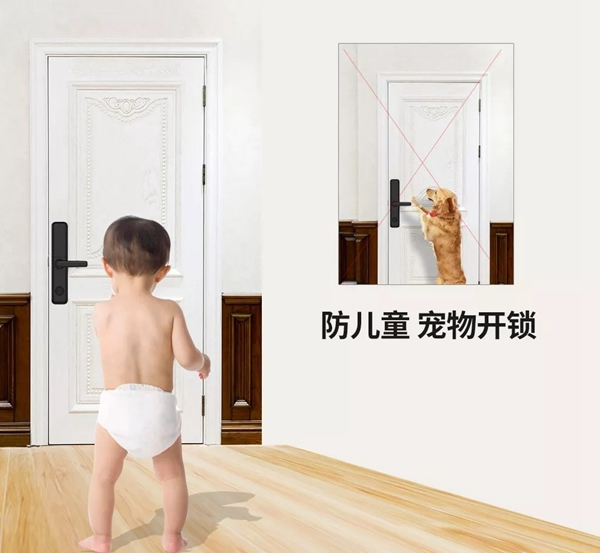 青松沃德：我們的2019年末崩潰情況報告