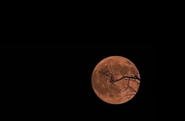 鹿客智能鎖classic2XYeelight 皎月LED吸頂燈 讓您開門見圓滿 鹿客智能鎖classic2XYeelight 皎月LED吸頂燈 讓您開門見圓滿