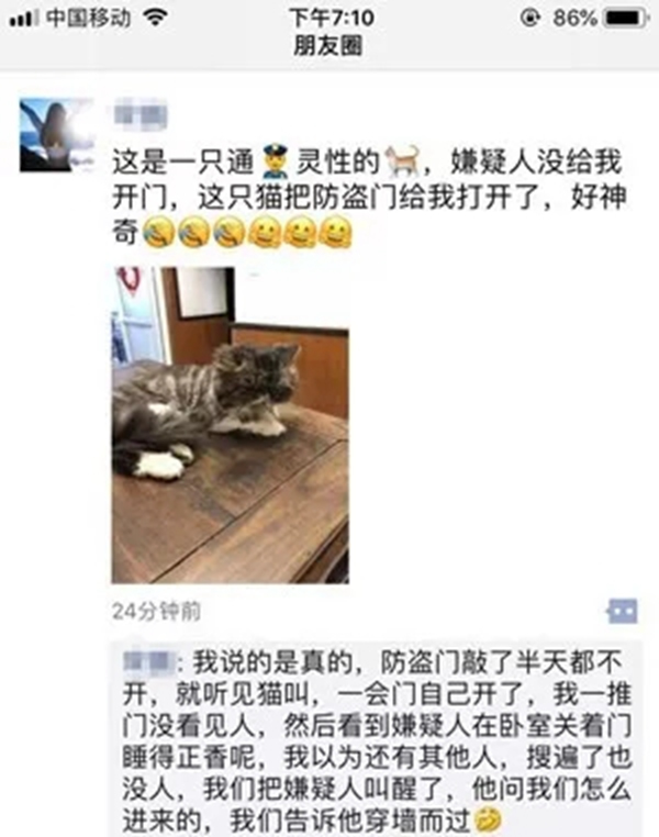 VOC智能鎖告訴你 家里寵物偷偷開門要怎么辦