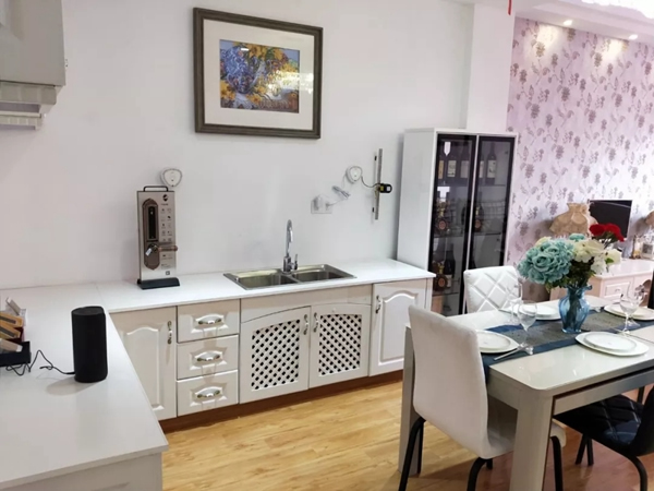 揚(yáng)子智能家居六安地區(qū)代理店舉行開業(yè)儀式