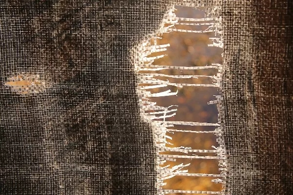 耶魯智能鎖幫您解放雙手，解開“心鎖”