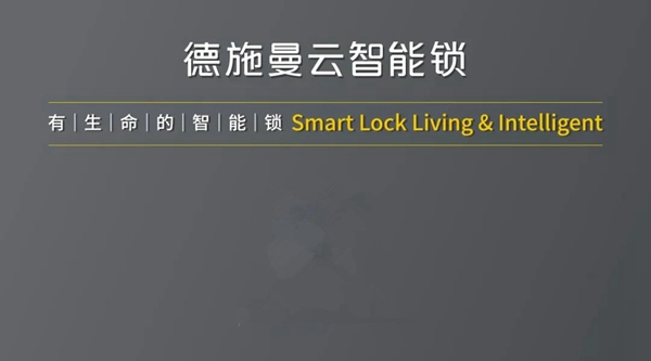 德施曼小嘀云智能鎖榮獲2018年房地產智能鎖類競爭力十強供應商稱號