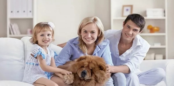 耶魯智能鎖讓更多家庭領略安全、便利、時尚的門鎖解決方案