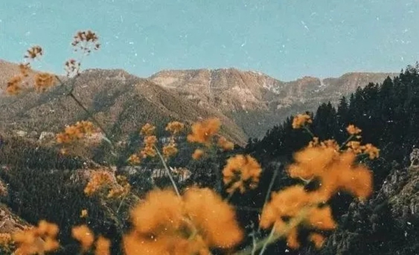 豪力士智能指紋鎖向你分享幾個有趣的心理學現象