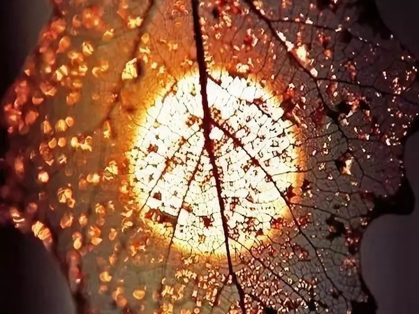 豪力士智能指紋鎖向你分享幾個有趣的心理學現象