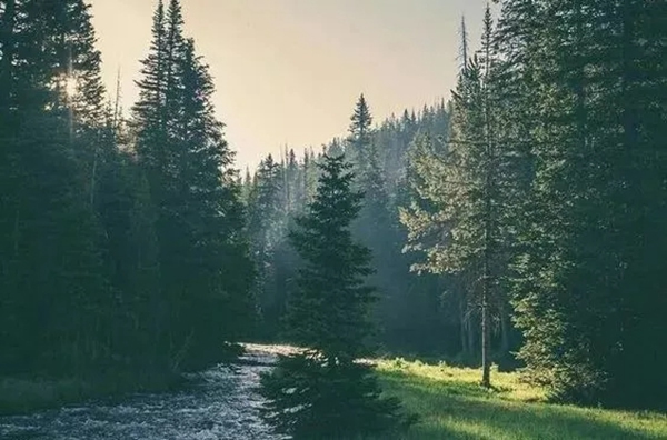 豪力士智能指紋鎖向你分享幾個有趣的心理學現象