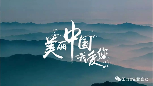 王力智能鎖，集所有才華于一身