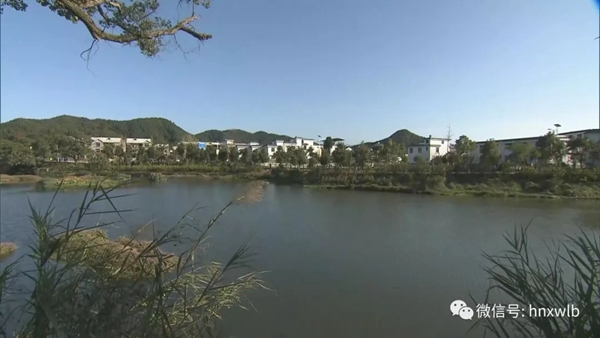 多特智能鎖迎接湖南省省委書記杜家毫一行蒞臨調研