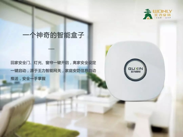 王力安防陪你度過冷冬，準備好雙十一帶回家了嗎？