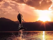 凱迪仕聯合途牛，推出“丟掉鑰匙，暢快旅行”活動，給出發一個理由