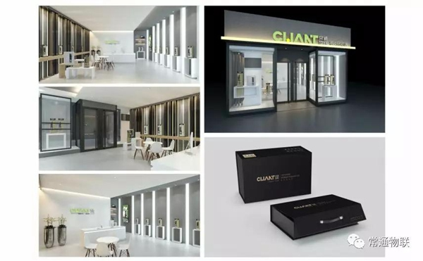 常通物聯：匠心獨具，勇攀高峰