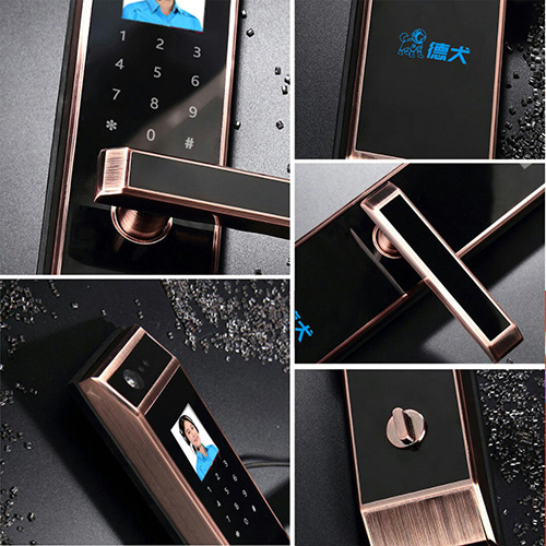 F1人臉掌紋智能鎖 德犬智能鎖 人臉識(shí)別掌紋識(shí)別密碼鎖