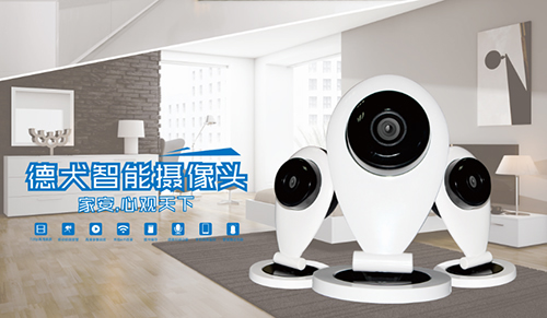 防賊防盜防老王，家庭安全靠德犬