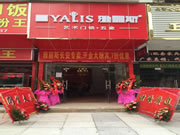 雅麗斯戰略發展計劃有了新的突