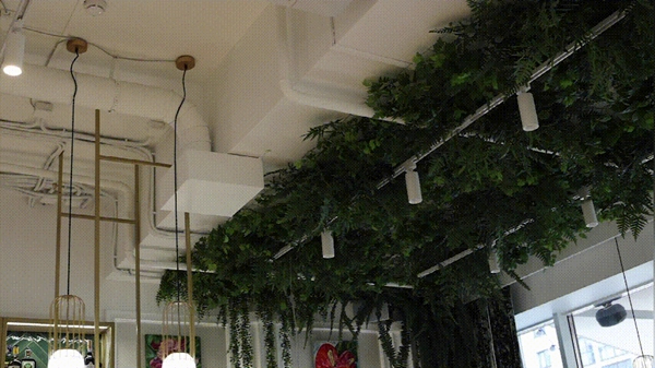 河東智能家居：這是一封來自白俄羅斯的郵件