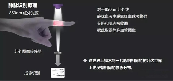 東屋·世安：靜脈識別技術(shù)會是下一個智能鎖爆點嗎？