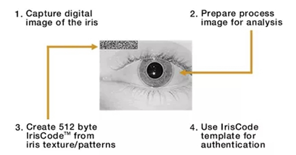 智能鎖常見的六種生物識別技術原理解析