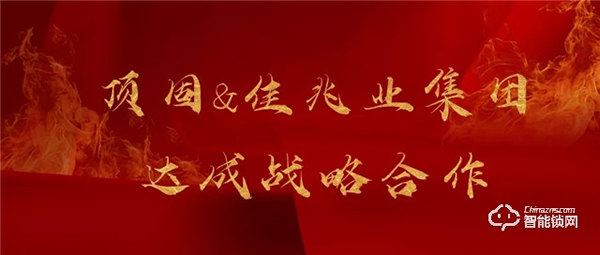 頂固8月精彩薈萃 | 行穩致遠，聚勢共贏！