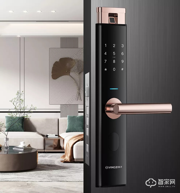 輕奢、簡約、歐式？不同裝修風格，智能鎖安裝各有講究！